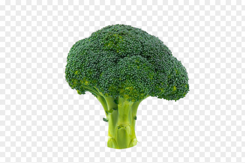 Cauliflower Broccoli Vegetable PNG