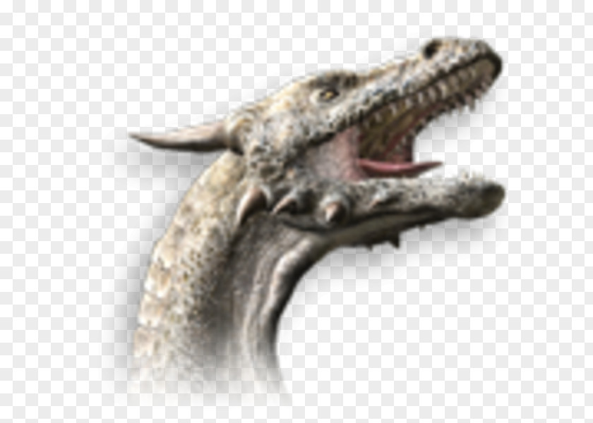 Dragon Fantasy PNG