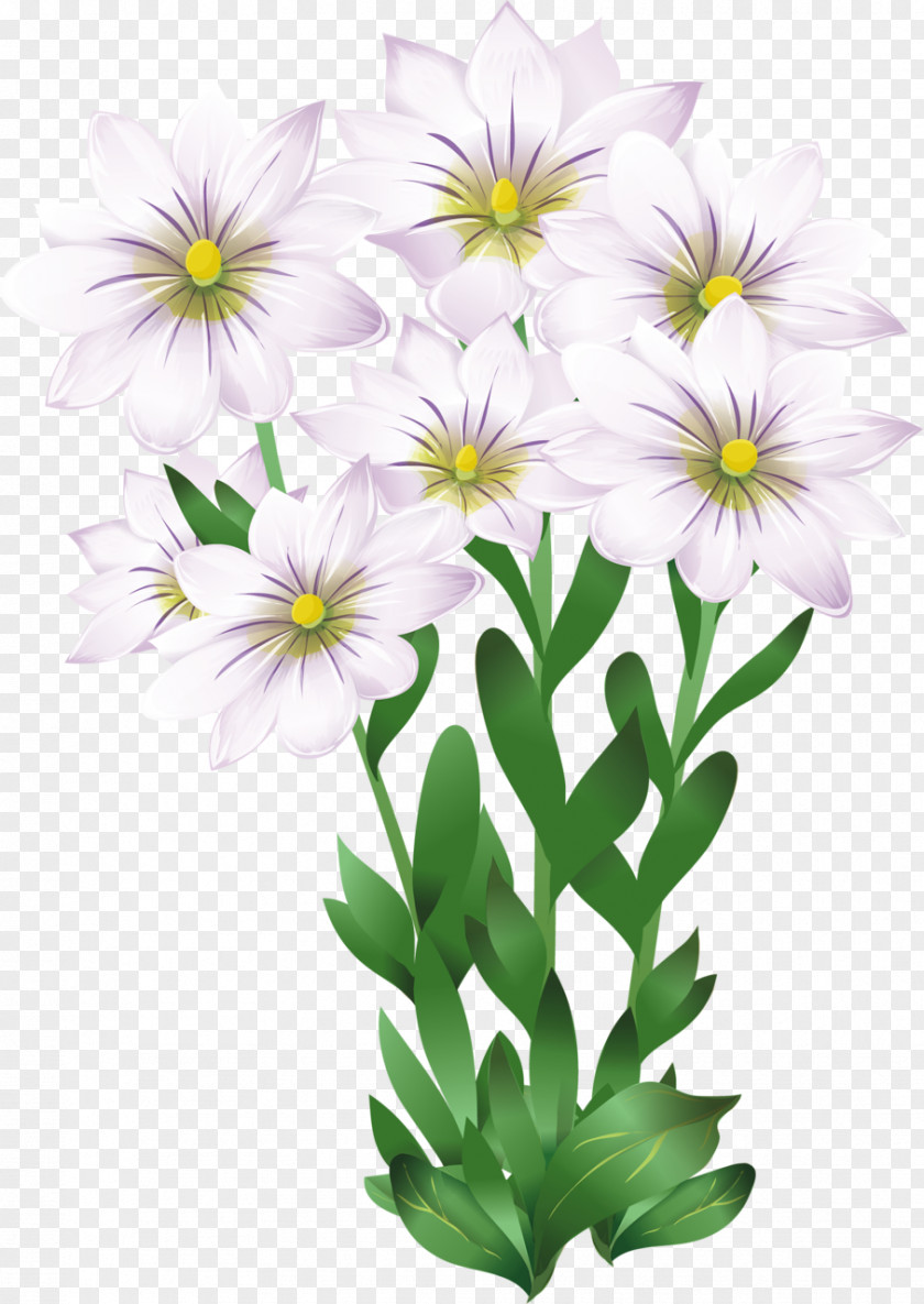 Flower Drawing Photography Clip Art PNG