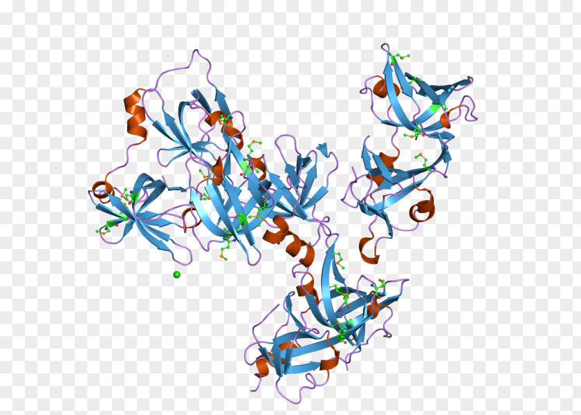Interferon IFI16 Structural Classification Of Proteins Database CATH PNG