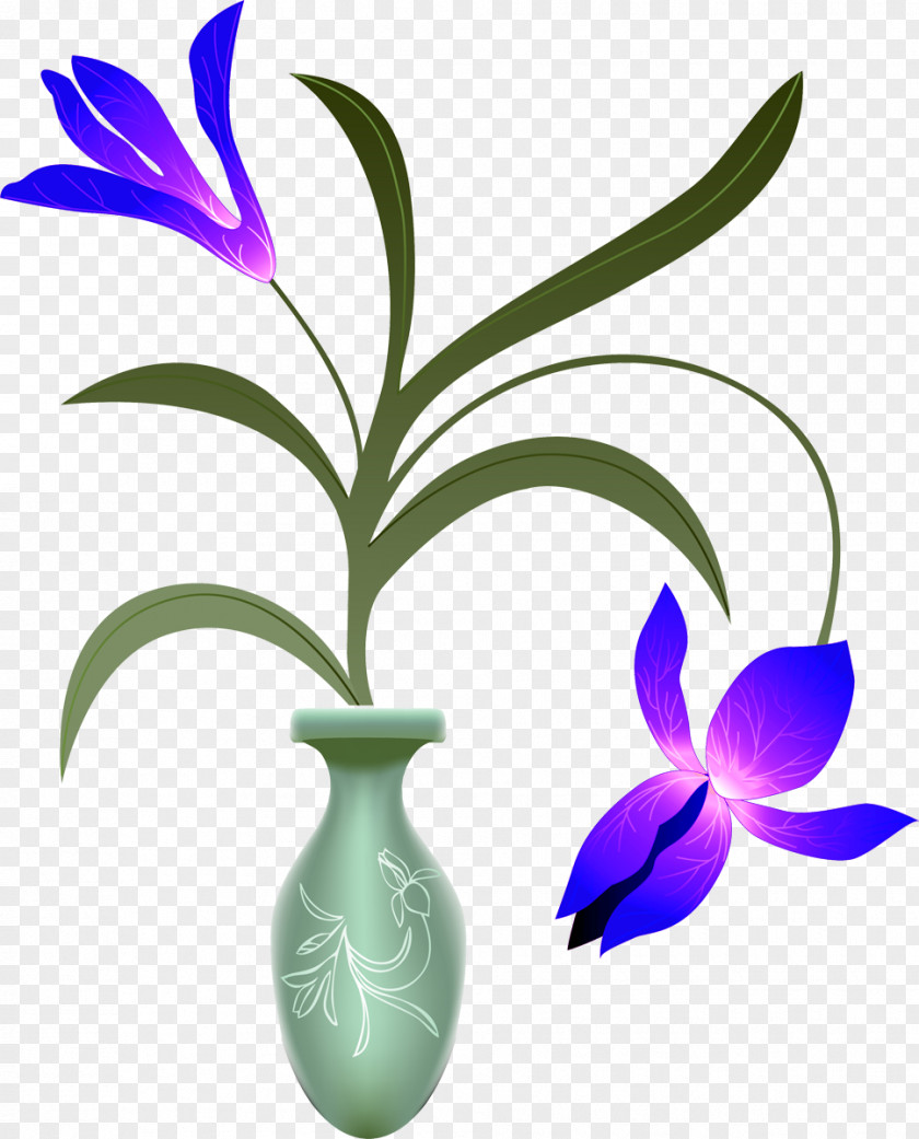 Iris Vase Drawing Flower PNG
