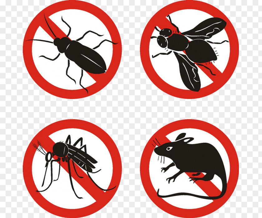 Mosquito Pest Control Rat-catcher Disinfectants Cleanliness PNG