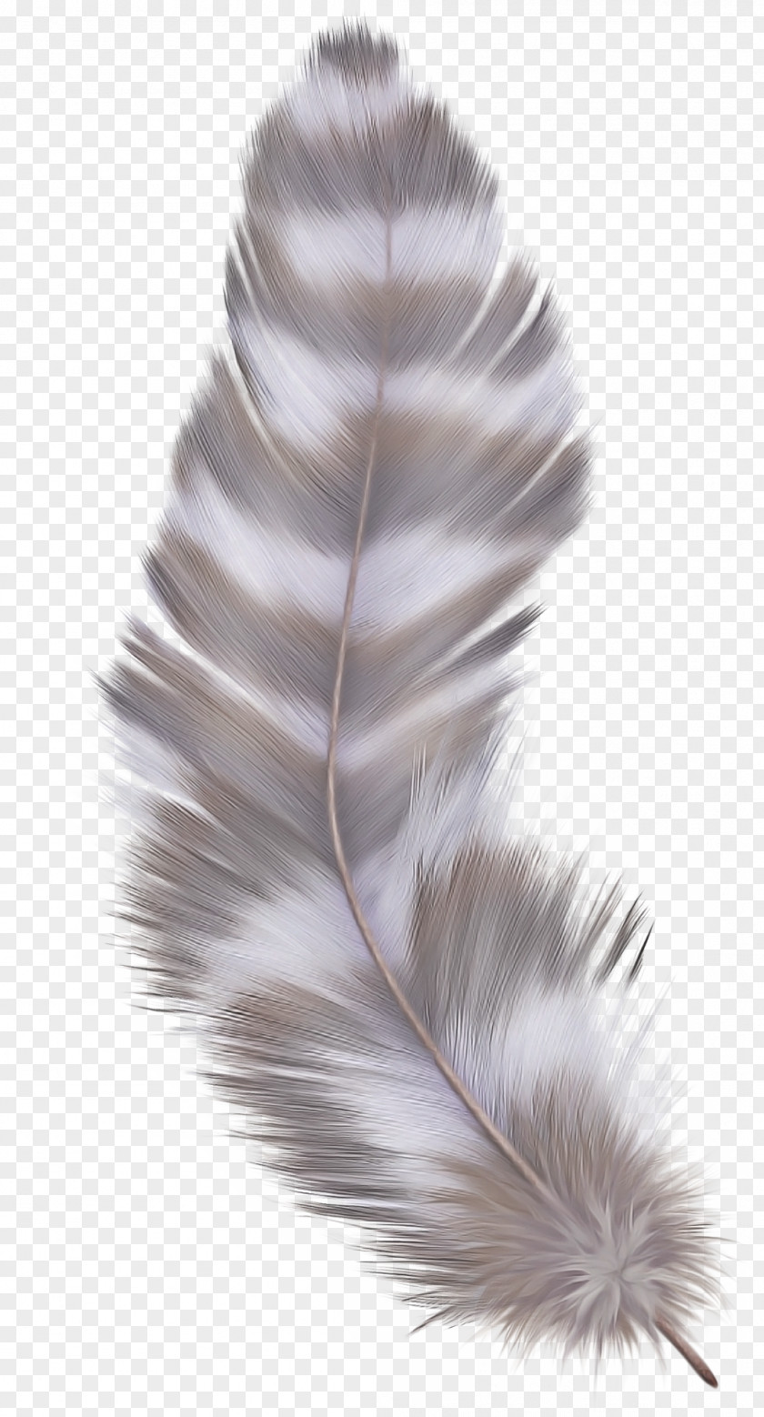 Natural Material Tail Silver Background PNG