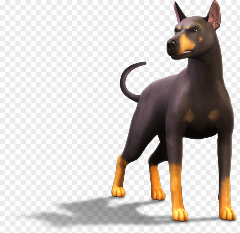 Pets The Sims 3: 2: Manchester Terrier 4: Cats & Dogs Miniature Pinscher PNG