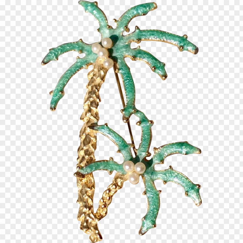 Brooch Organism PNG