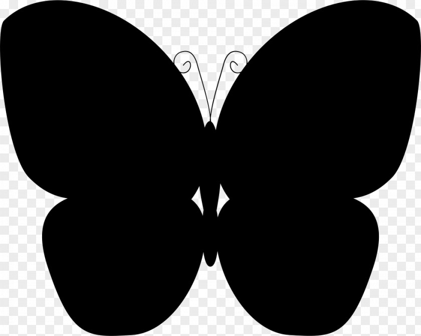 Butterfly Vector Graphics Image Silhouette Drawing PNG