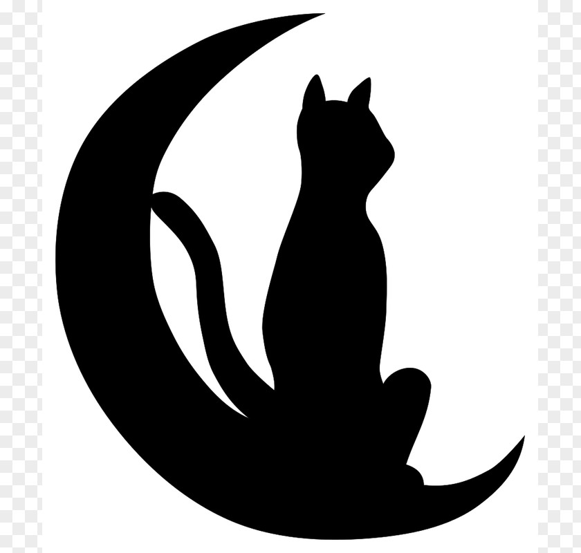 Cat Black Whiskers Silhouette Drawing PNG