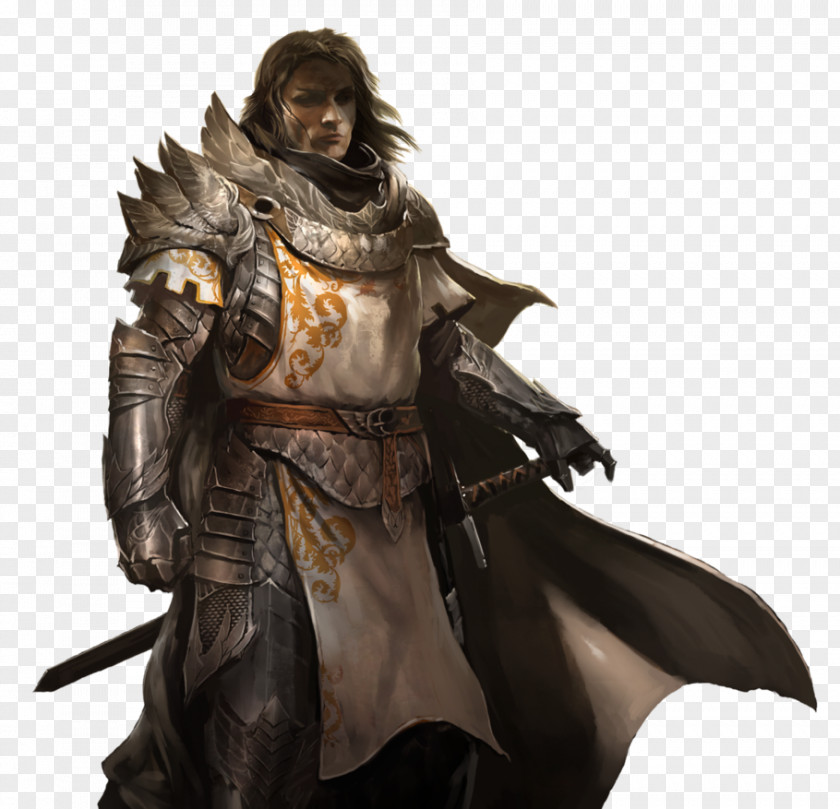 Warrior Guild Wars 2 Dungeons & Dragons Paladin Neverwinter Nights Video Game PNG