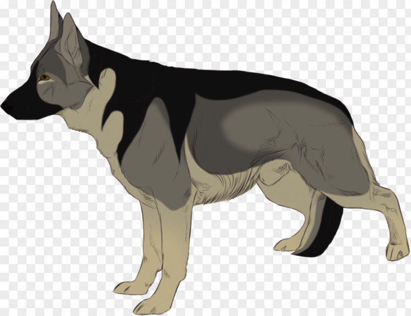 Chiaroscuro Dog Breed German Shepherd Snout PNG