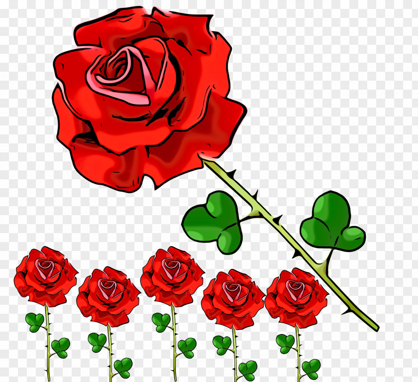 Rose Order Petal Garden Roses PNG