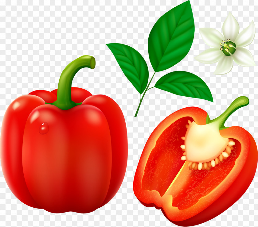 Vegetables Bell Pepper Cayenne Chili Vegetable Clip Art PNG