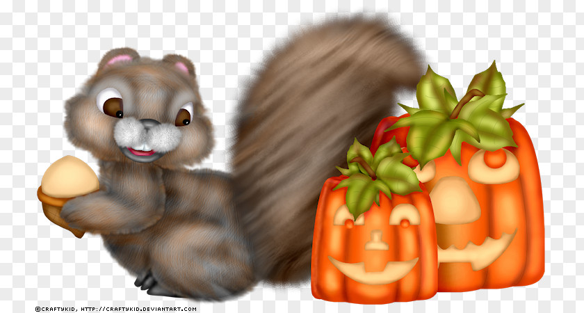 Acorn Squirrel Bear DeviantArt Artist PNG
