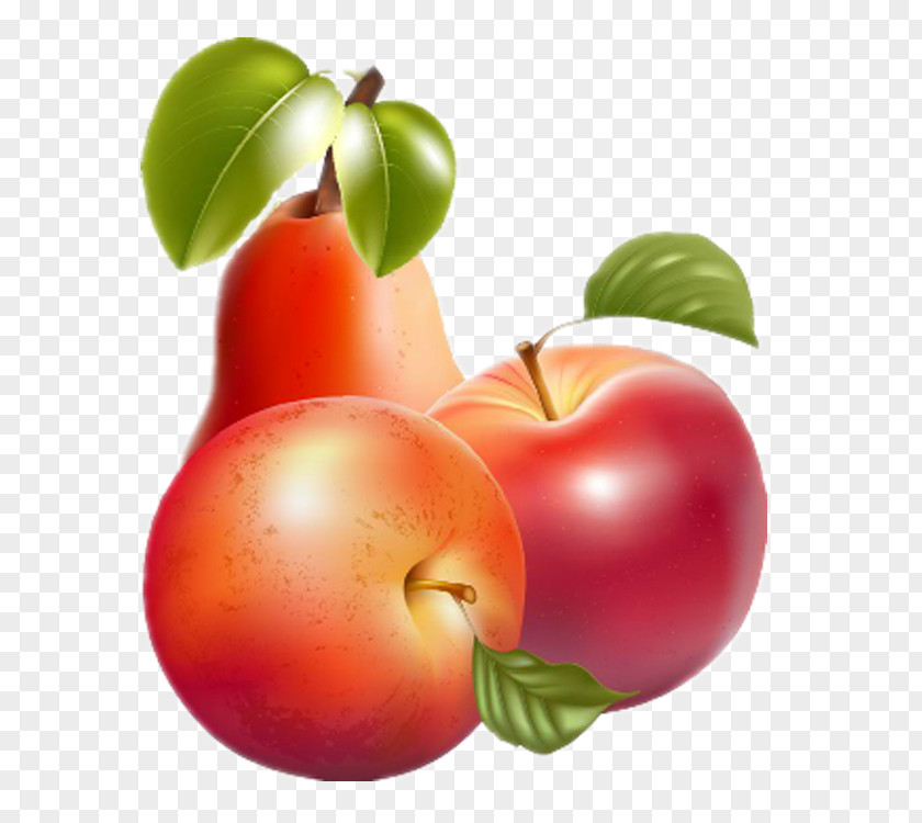 Apple Fruit Barbados Cherry Clip Art PNG