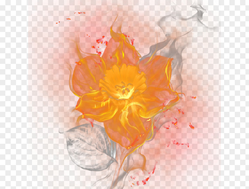 Burning Flowers PNG