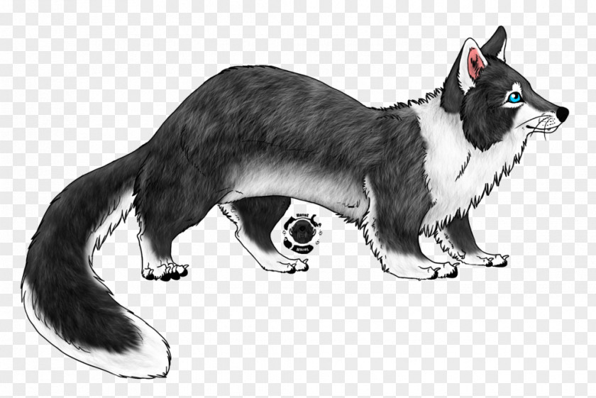 Cat Whiskers Dog Tiger Art PNG