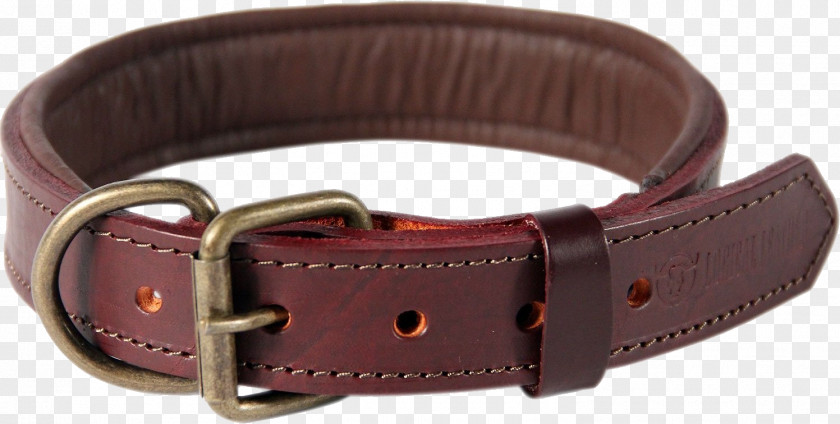 Dog Collar Leather Leash PNG