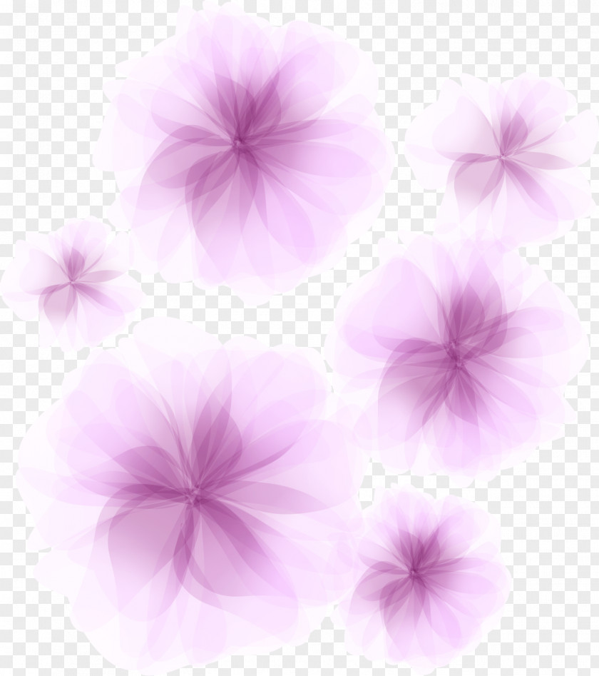 Dream Flowers Decorate Designs Desktop Wallpaper Petal Violet PNG