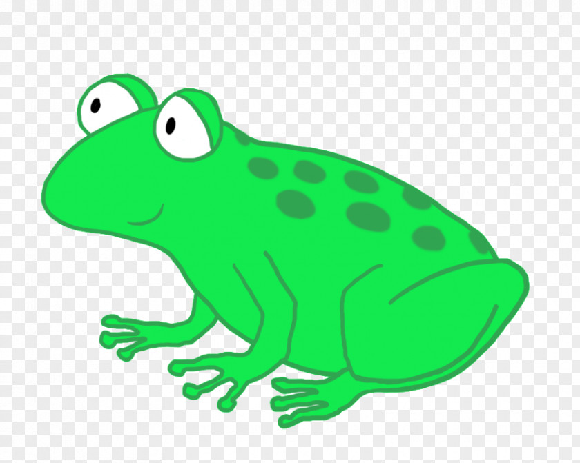 Frog Toad True Tree Clip Art PNG