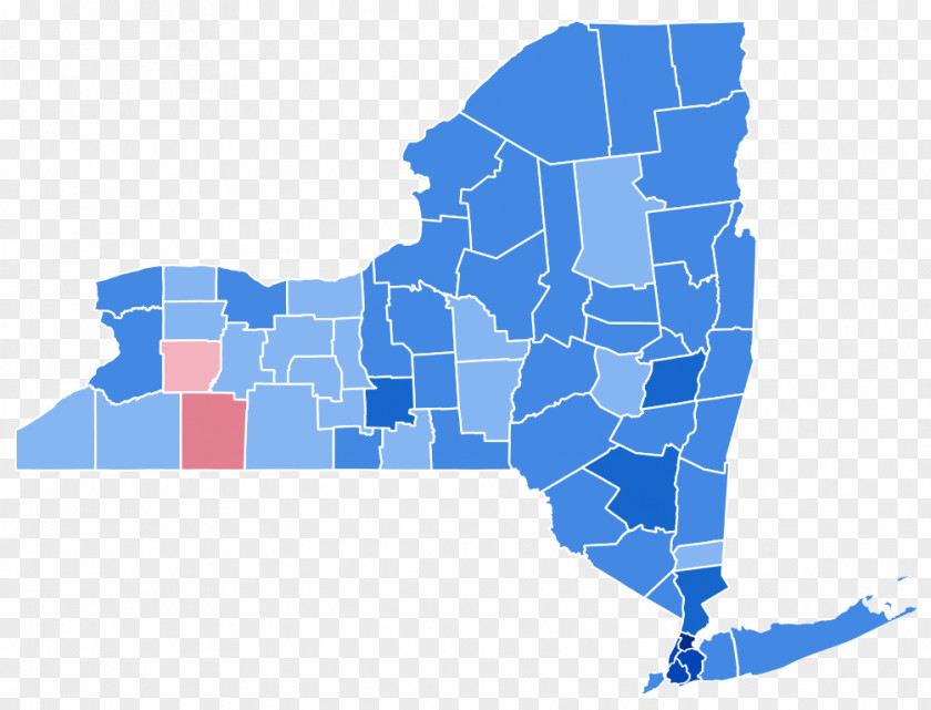 New York City Gubernatorial Election, 2010 US Presidential Election 2016 Democratic Party Political PNG