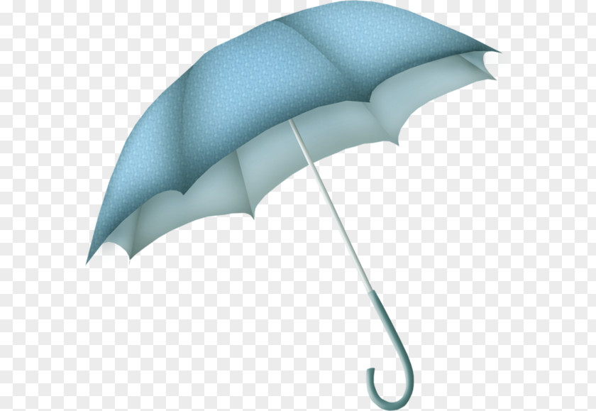 Blue Umbrella Google Images Clip Art PNG