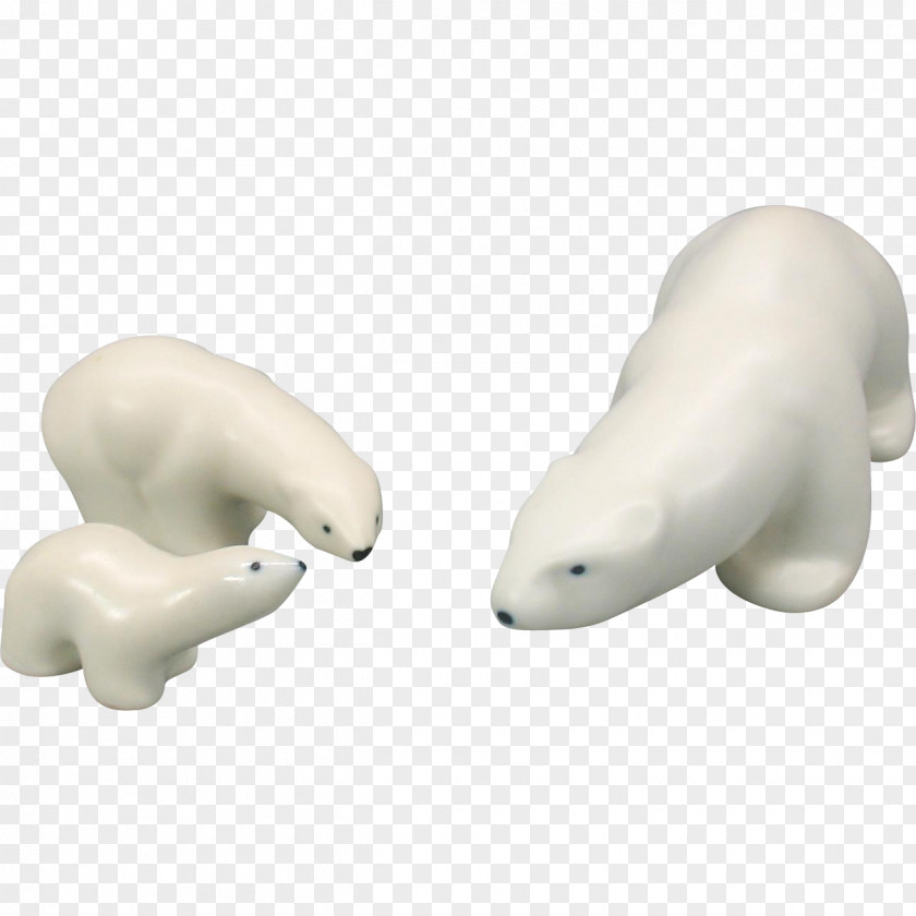 Design Jaw Snout Marine Mammal PNG