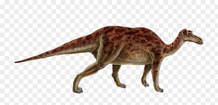 Dinosaur Maiasaura Late Cretaceous Size Bird Velociraptor PNG