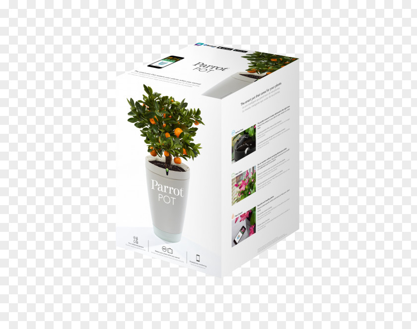 Flower Flowerpot Sensor Watering Cans Plant PNG