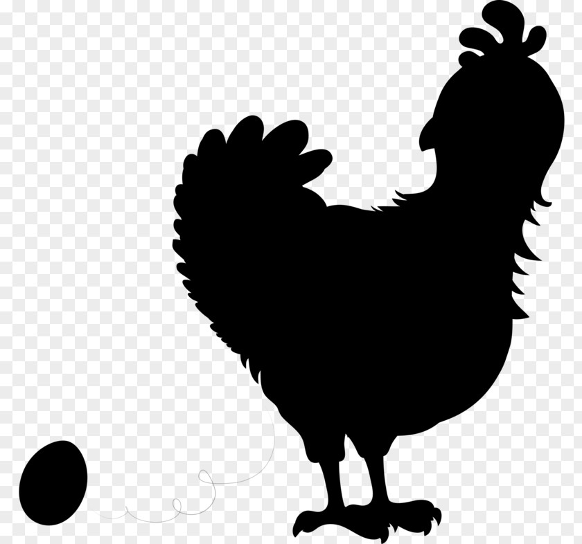 Rooster Clip Art Silhouette Fauna Black PNG