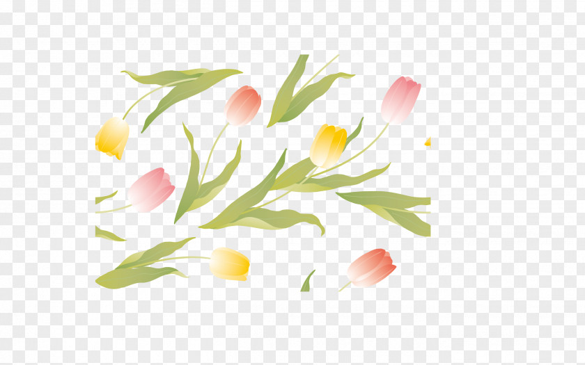Spring Tulip Pattern Shading Flower Clip Art PNG