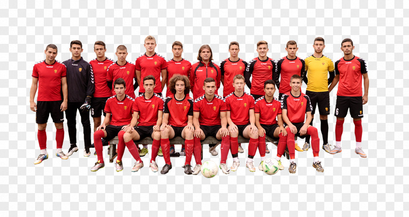 Team File FK Vardar Sport Youth Wing PNG