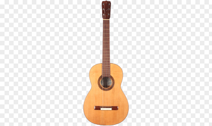 Acoustic Guitar Classical Steel-string Ukulele PNG