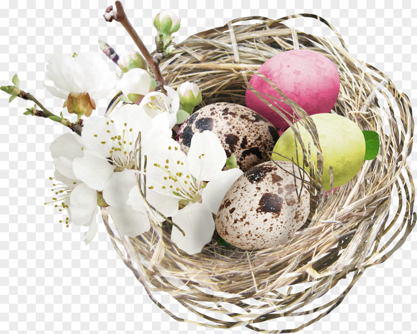 Brown Nest Eggs Egg Easter Clip Art PNG