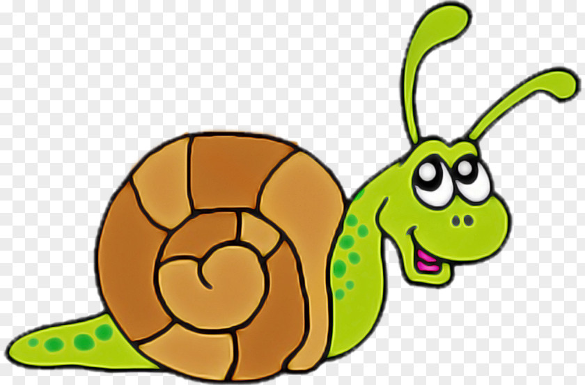 Cartoon Insect Snails And Slugs Leaf Animal Figure PNG