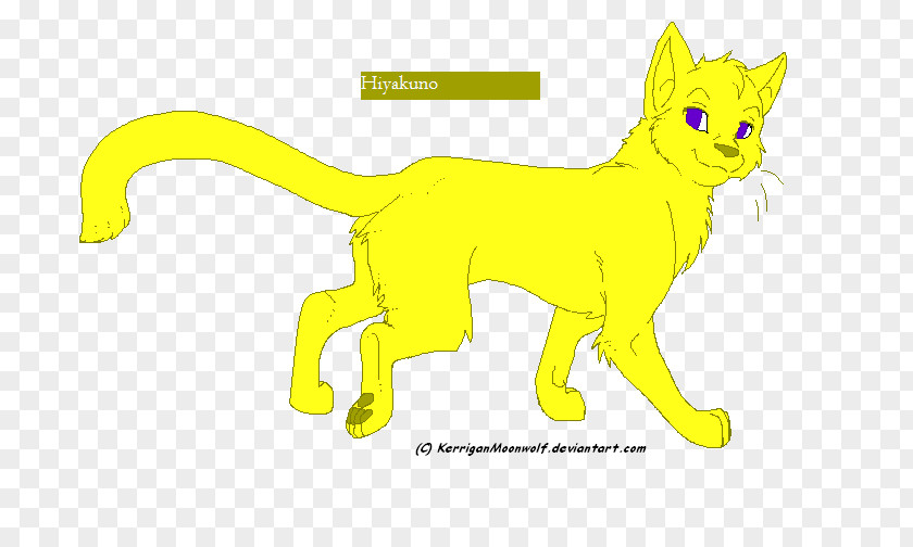 Kitten Whiskers Gray Wolf Cat Kiba PNG