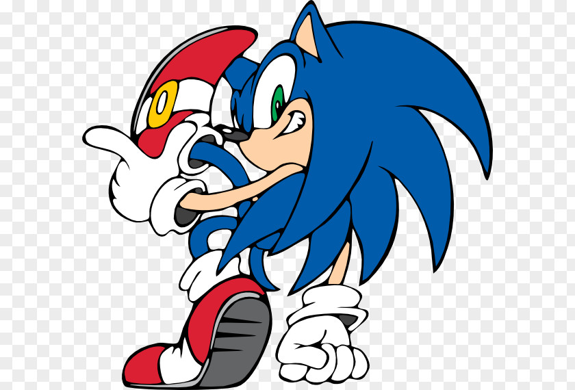 Sonic Adventure 2 The Hedgehog Amy Rose 3 PNG