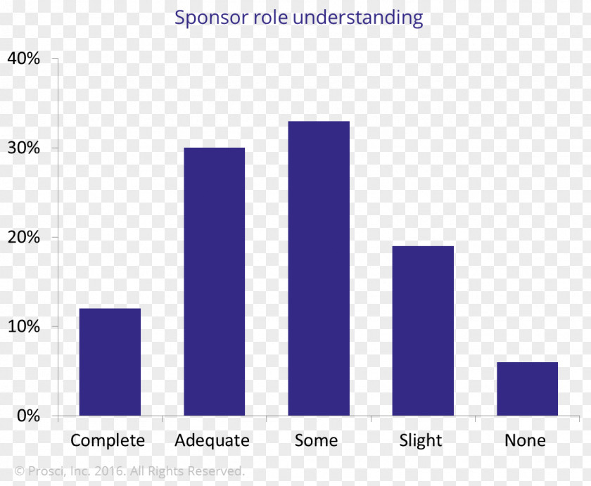 Understanding Executive Sponsor Organization Project Change Management PNG