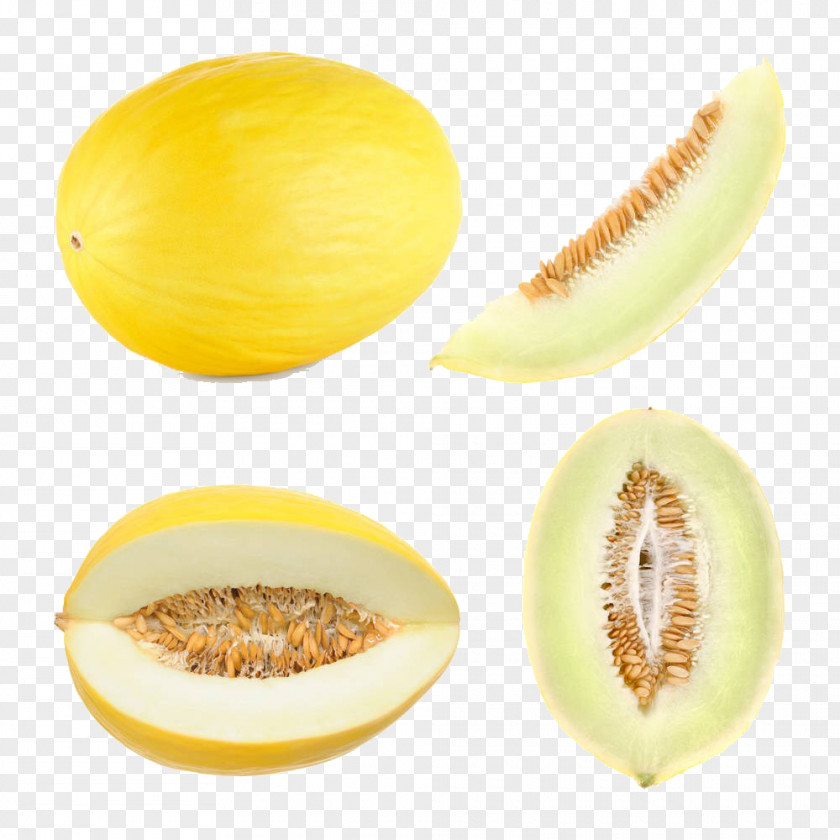 White Meat Melon Slices Honeydew Canary Cantaloupe PNG