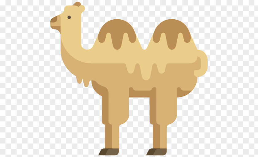 Camel Dromedary Icon PNG
