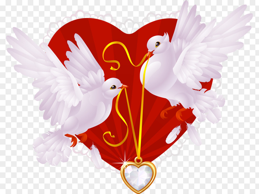 Dangling Love Birds Columbidae Wedding Invitation Illustration PNG