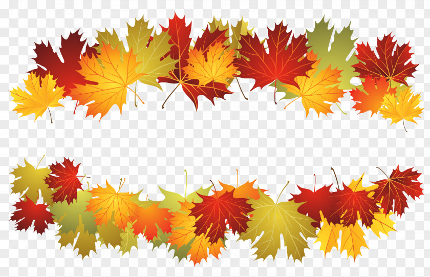 Fall Deco Leafs Clipart Picture Toronto Maple Computer File PNG