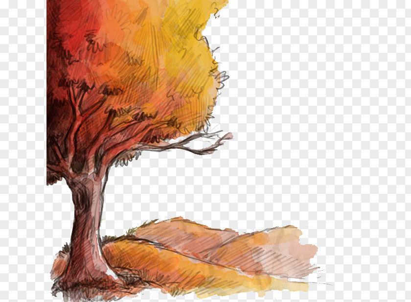 Fall Tree Autumn Drawing Euclidean Vector PNG