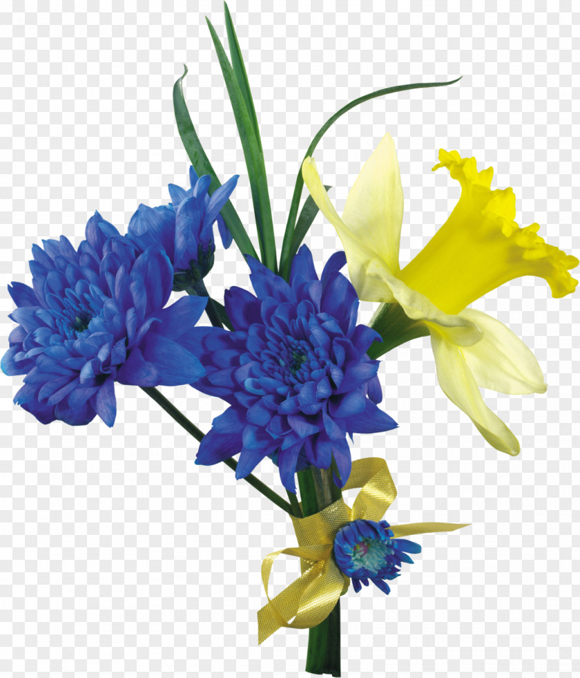 Flower Daffodil Tulip Clip Art PNG