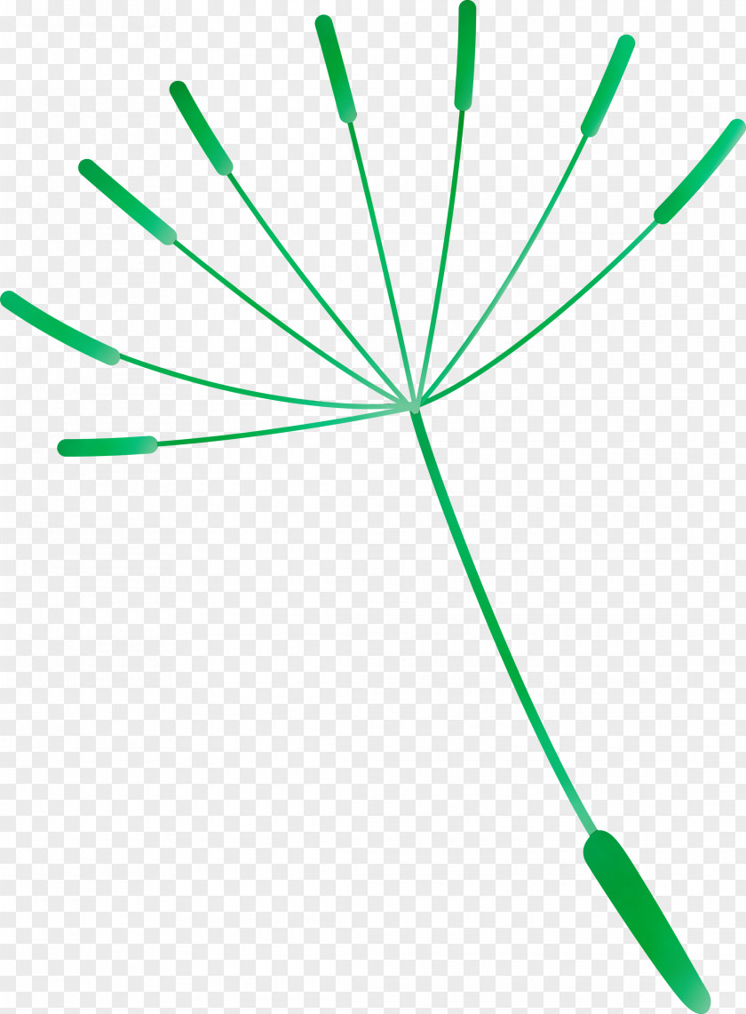 Leaf Plant Stem Green Line Meter PNG