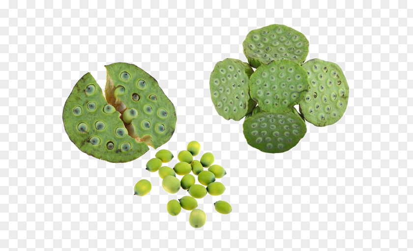 Lotus Seeds Mooncake Seed Gratis PNG