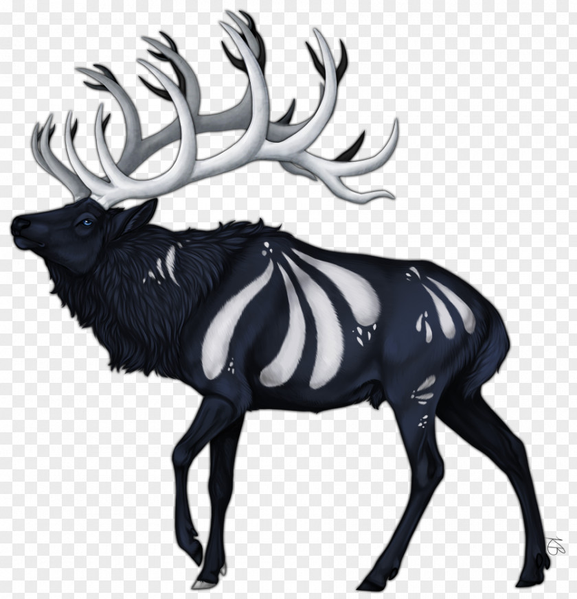 Reindeer Elk Antler White Wildlife PNG