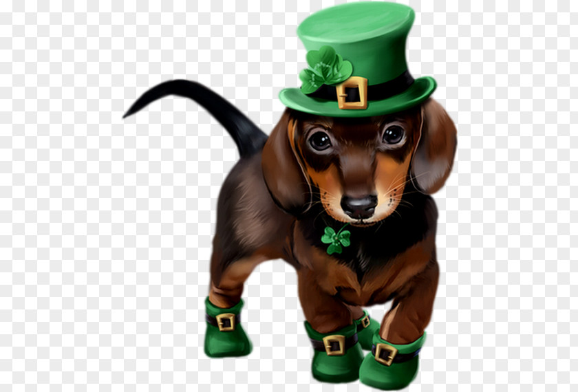 Saint Patrick's Day Dachshund Puppy Art 17 March PNG