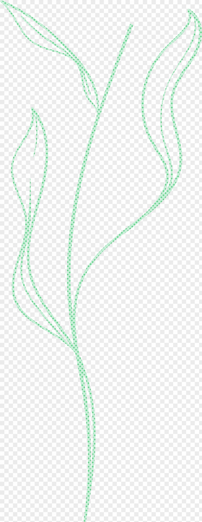 Simple Leaf Drawing Outline PNG