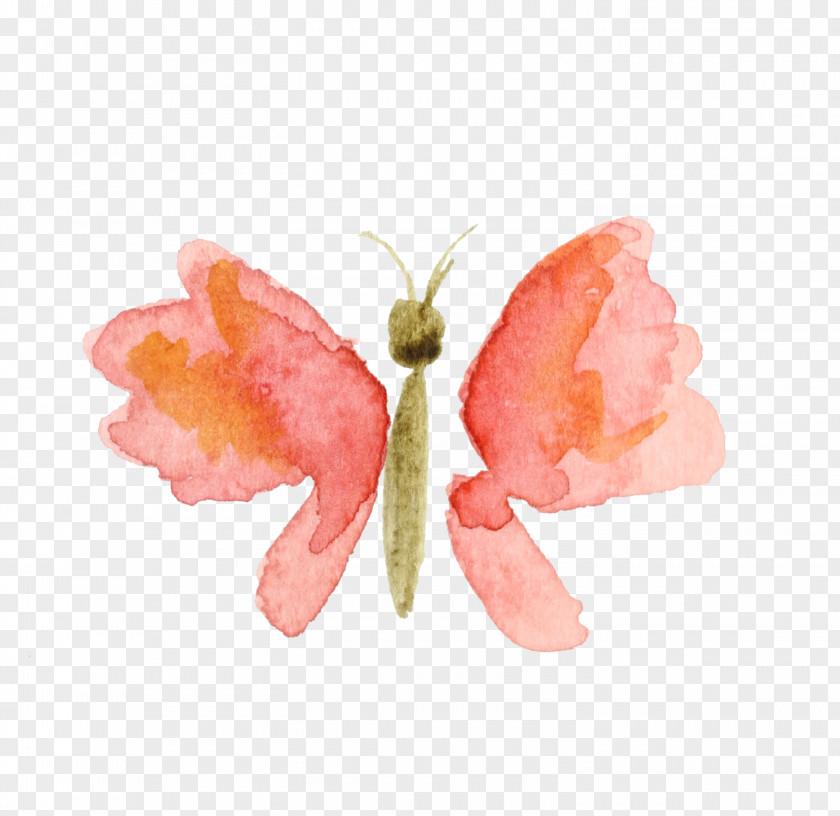 Watercolor Butterfly Watercolour Flowers Painting Graphic Design Clip Art PNG