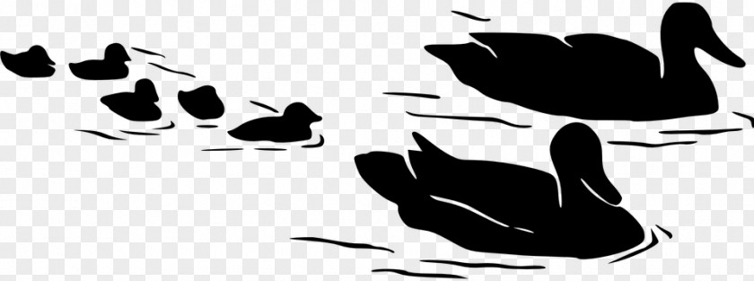 Wing Beak Duck Bird Water Ducks, Geese And Swans Black-and-white PNG