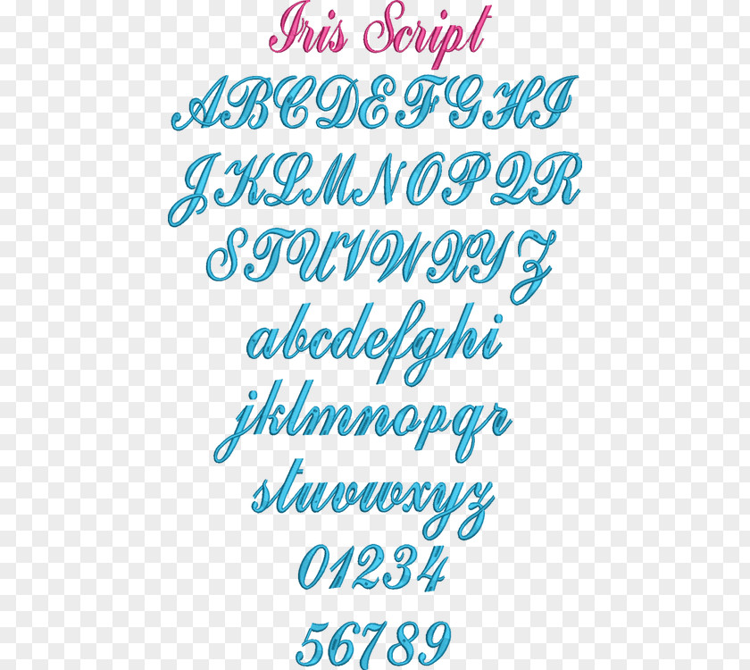 Beauty Pageant Script Typeface Calligraphy Happiness Font PNG